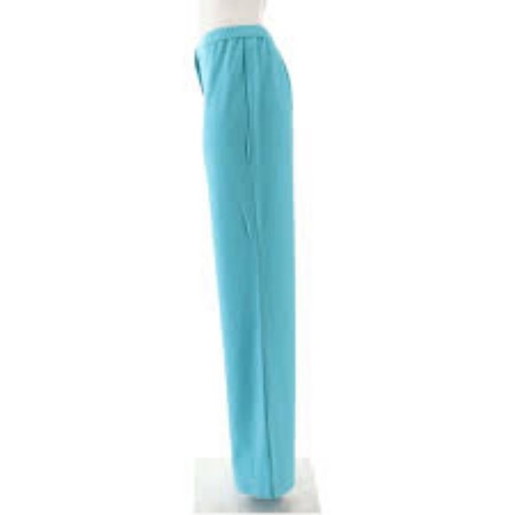NWT LINEA BY LOUIS DELL'OLIO AQUA WOVEN PANTS 26 - Picture 4 of 13